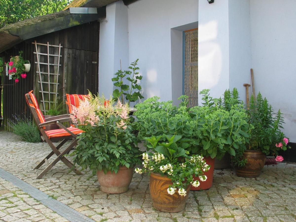 Zum Schwarzen Stiefel- Ferienwohnung Atelierhaus Rankwitz Exterior photo