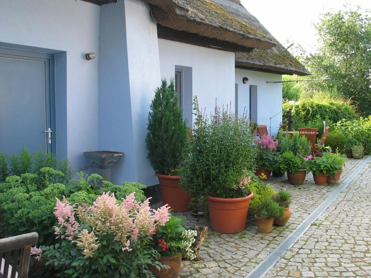 Zum Schwarzen Stiefel- Ferienwohnung Atelierhaus Rankwitz Exterior photo